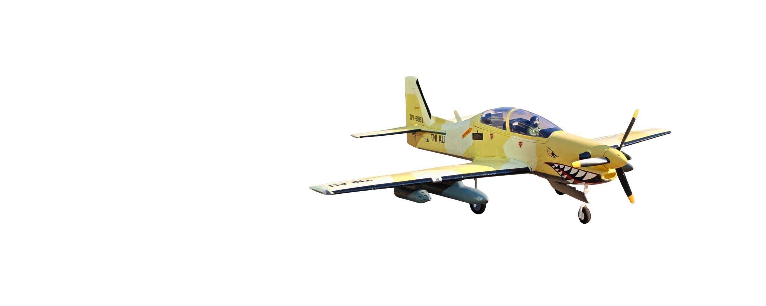 RC Scale Planes