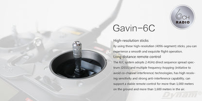 Detrum GAVIN-6C 6CH 2.4Ghz RC Transmitter Set (TX+RXC6)