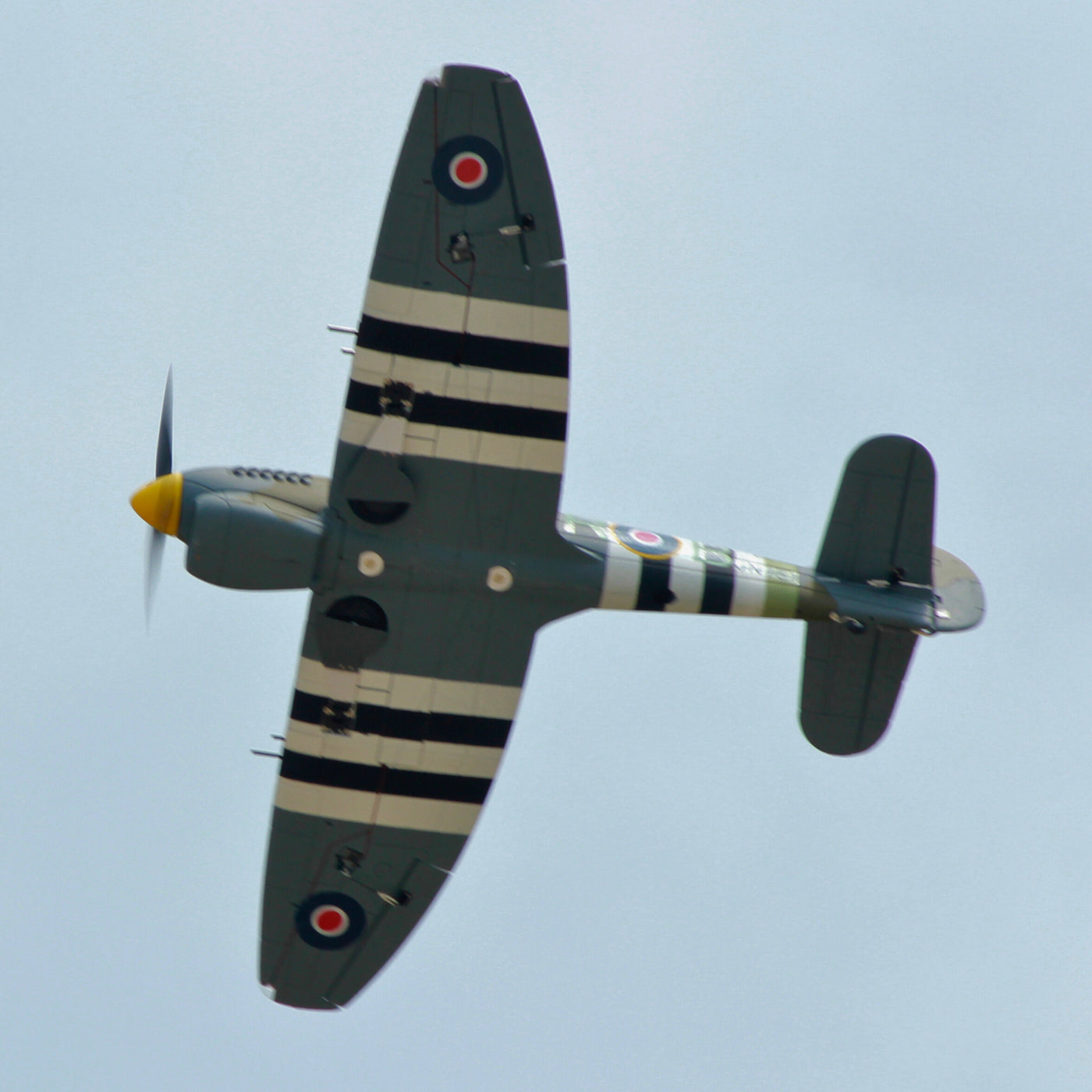 Dynam Hawker Tempest V2 4S Fjernstyret Krigsfugl 1,25 m Vingefang