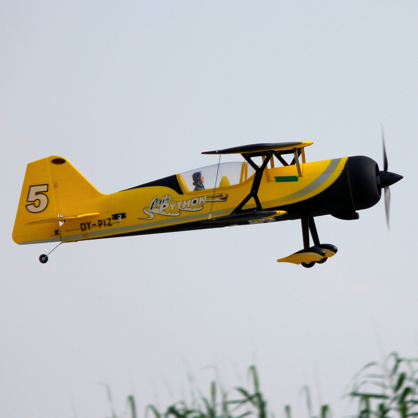 Dynam-Pitts-Python-Model-12-Yellow-4S-Radio-Controlled-Aerobatic-3D-Sport-Biplane-SRTF-DY8947YL_6